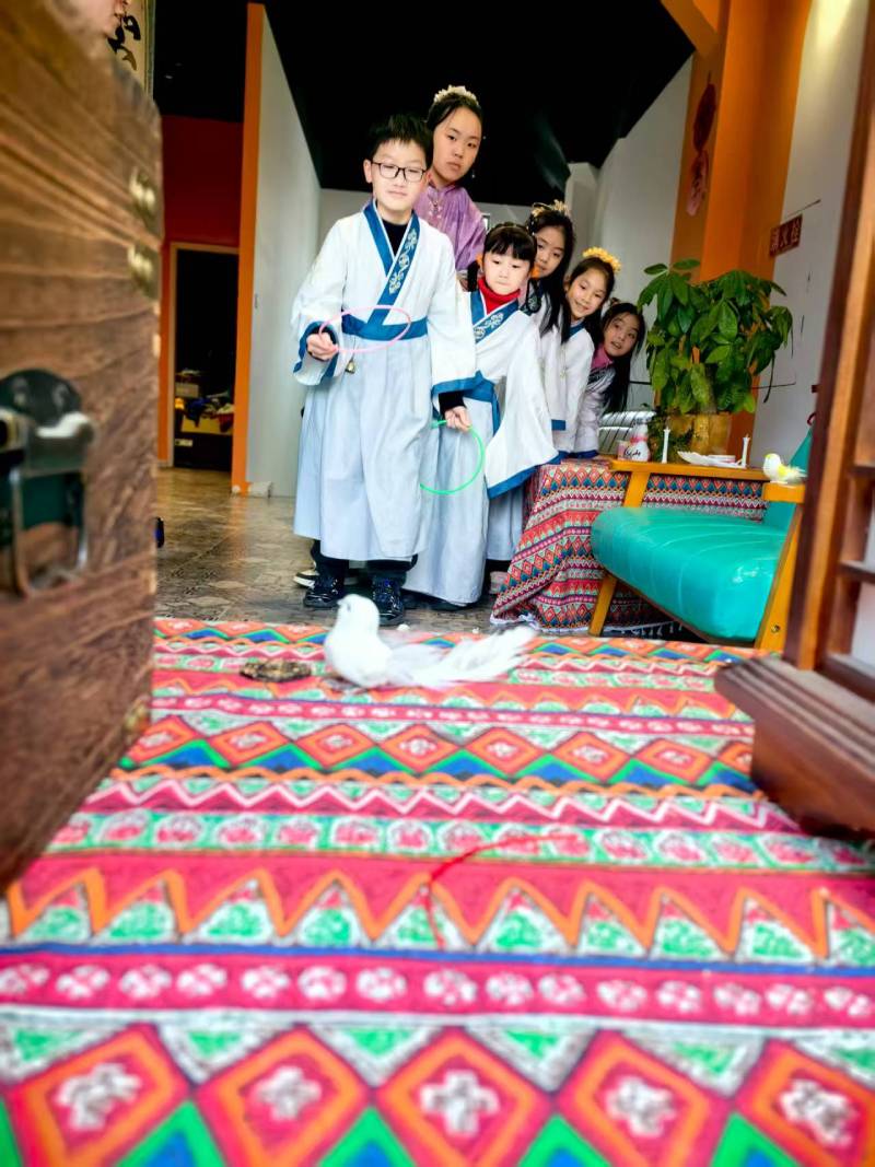 普陀区文旅项目策划